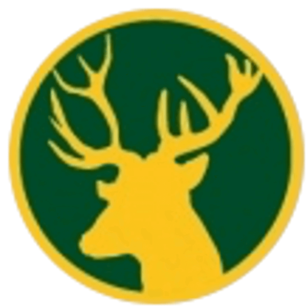 Ashtead CC logo